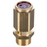 Клапан предохранительный 1" 11,5 бар 319-423/818150931